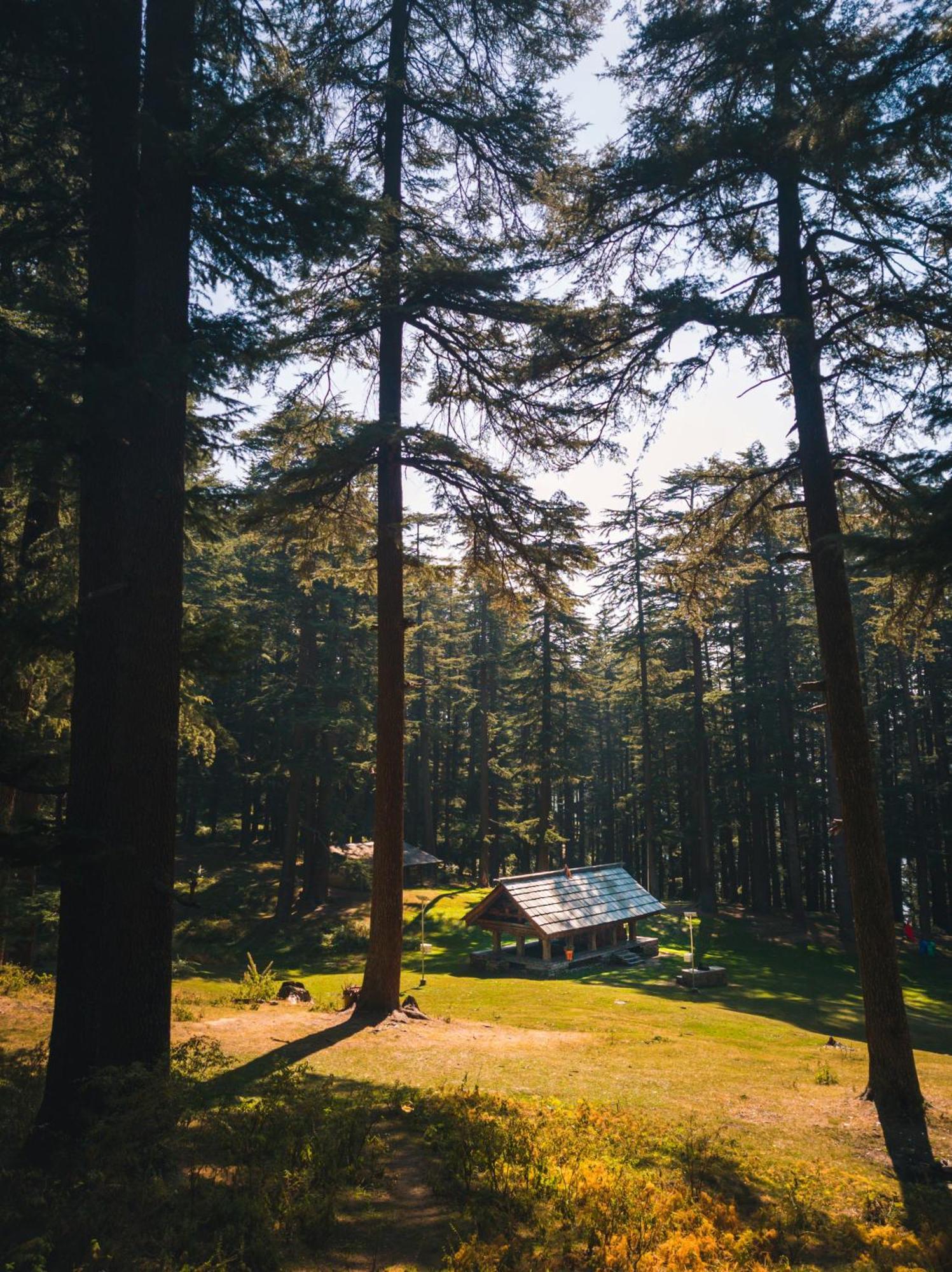 Hostel 360 Degree, Jibhi Exterior photo